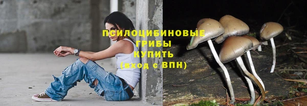 соль ск Алзамай