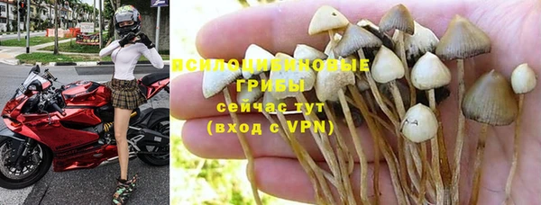 прущий лед Алексин