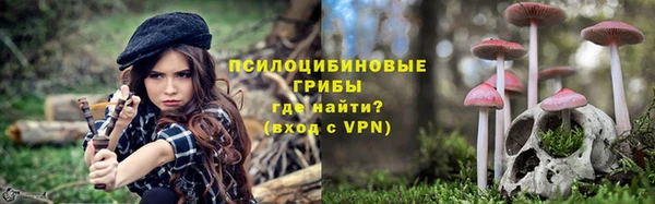 соль ск Алзамай